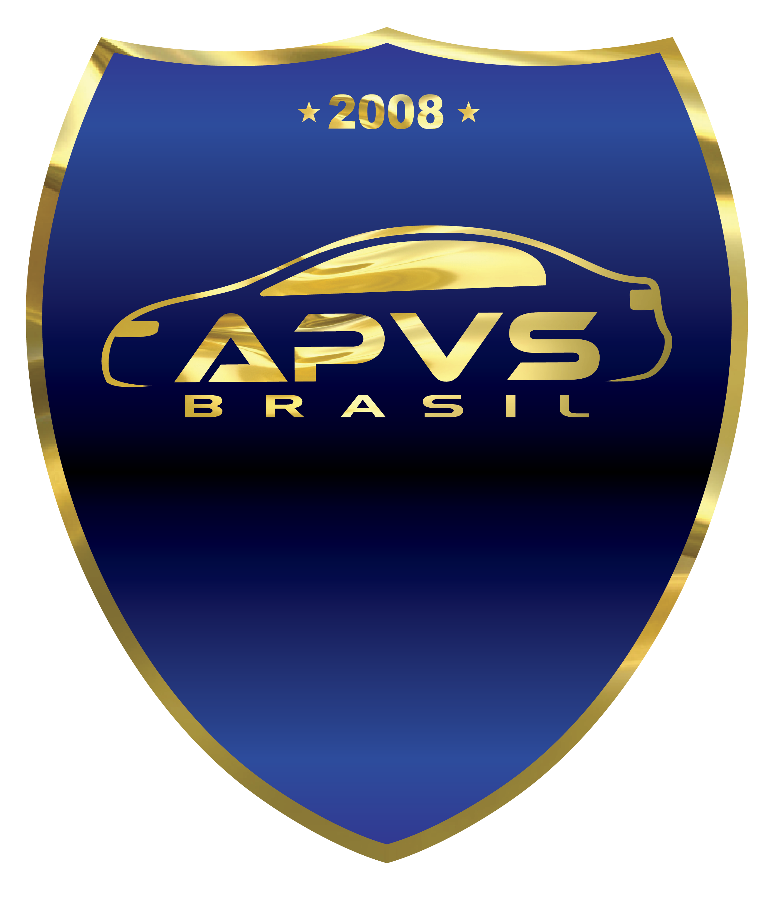 Logo APVS
